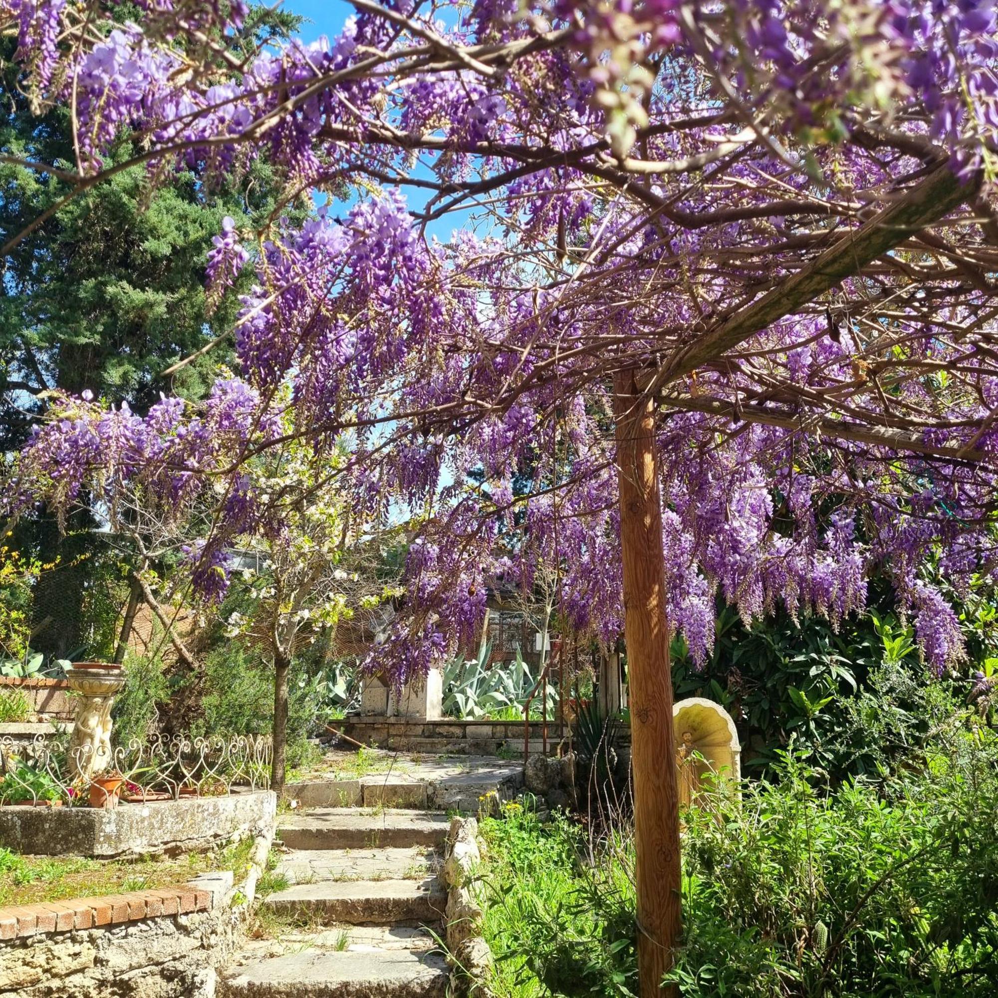 San Francesco Hotel Rapolano Terme Bagian luar foto