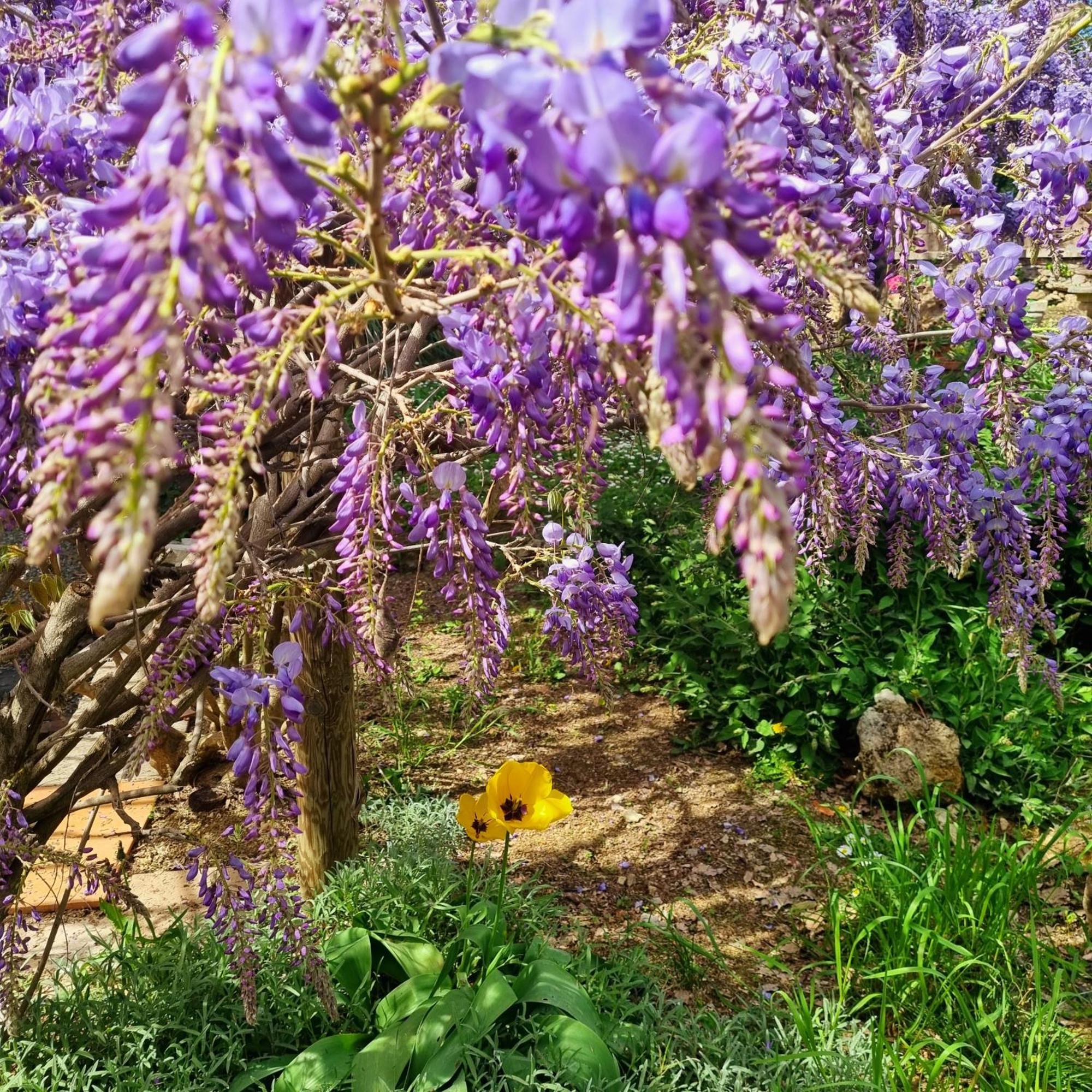San Francesco Hotel Rapolano Terme Bagian luar foto
